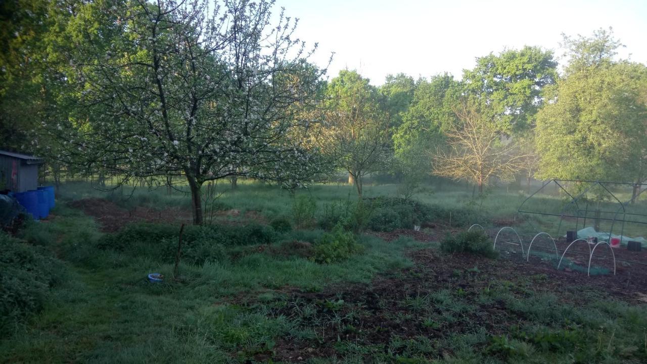 La Roulotte Chainoux Bains-sur-Oust Buitenkant foto