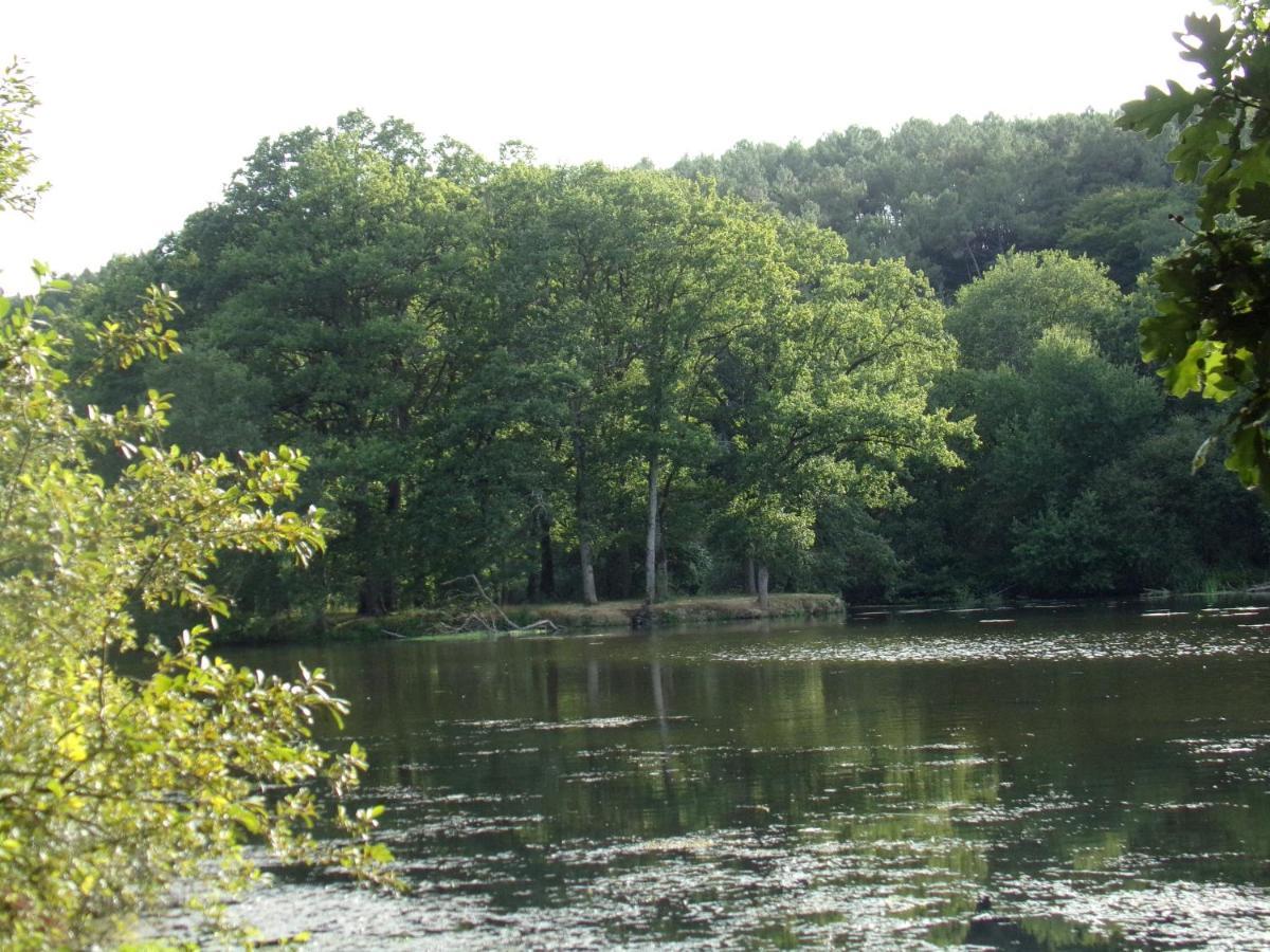La Roulotte Chainoux Bains-sur-Oust Buitenkant foto